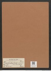 Grammatophora maxima var. trinitatis Grun. (de-Toni-Nr.: Genus 93, Species 3033) Zeichnungen Sammlung Grunow Mappe 03215 (Herbarium_W_Grunow_drawings_Folder_03215)